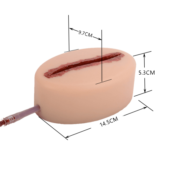 The Size Detail of Trainer