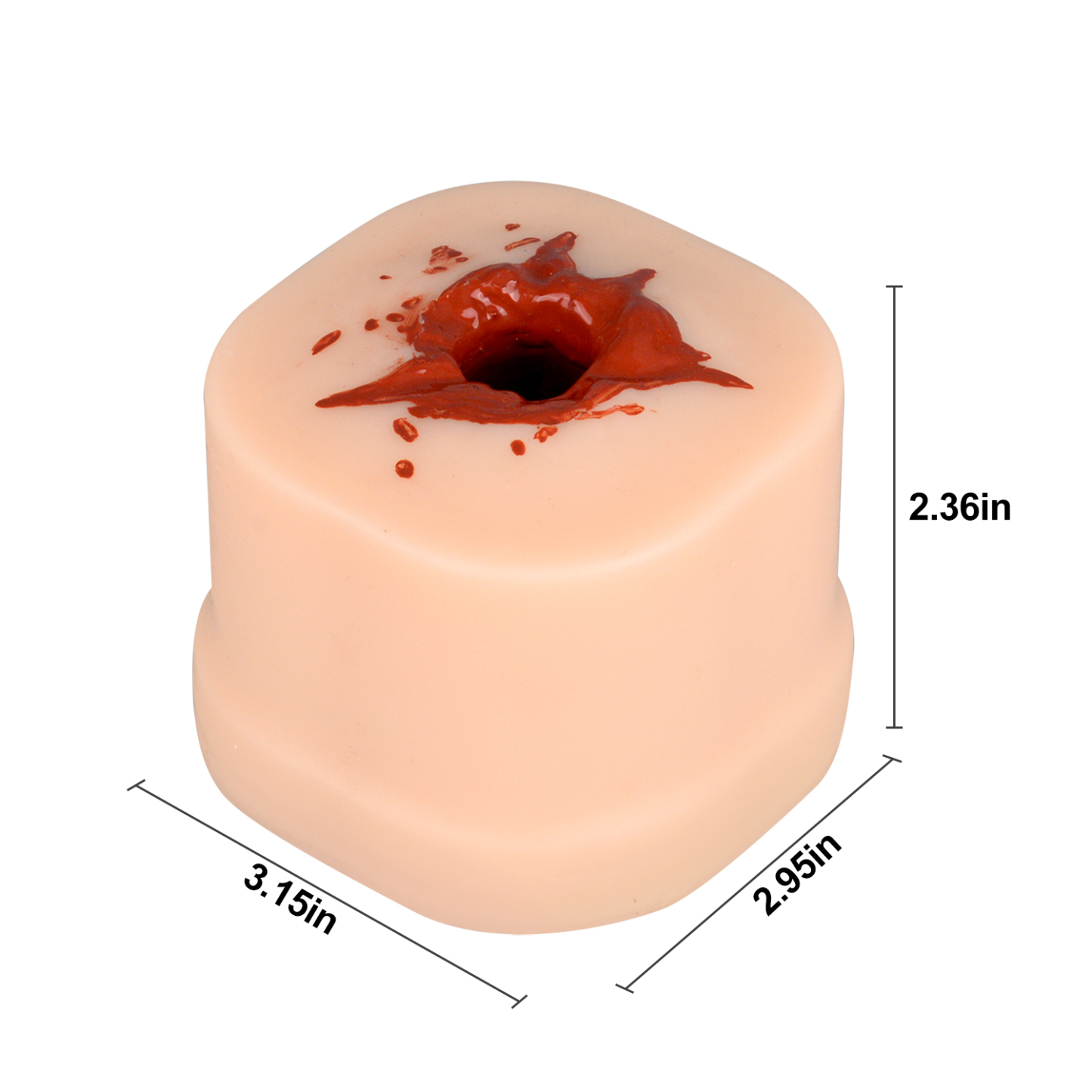Gunshot Wound Model Size And Dimension Details