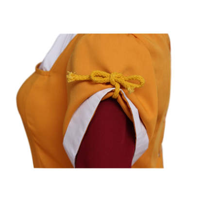 Medieval Gothic Victorian Marie Antoinette Dress for Women - Elegant Masquerade Ball Gown-Astricos