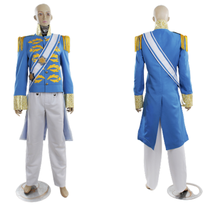 Disney Cinderella Princess, Prince, Stepmother & Maid Cosplay Costumes | Astricos-Astricos