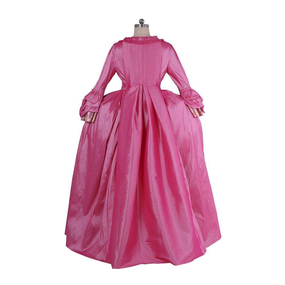 18th Century Rococo Pink Embroidered Long Sleeve Gown - Delicate Floral Dress-Astricos