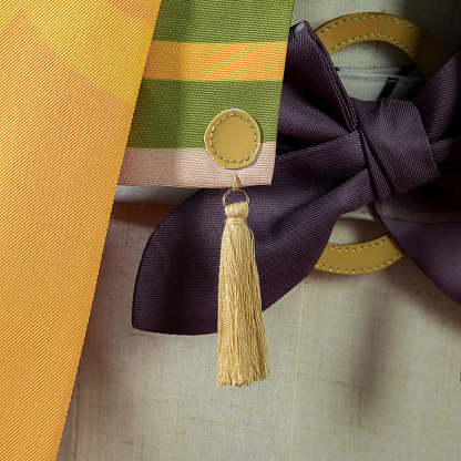 Authentic Genshin Impact Collei Cosplay Costume – Anime-Inspired Design for Fans-Astricos