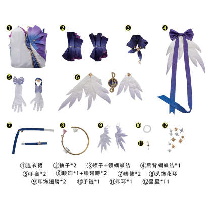 Robin Honkai Star Rail Cosplay Costume Set with Wig, Hairpins, Earrings, and Gloves-Astricos