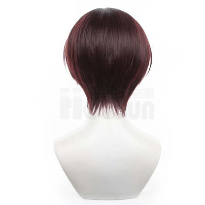 Hayato Suo Wind Breaker Anime Cosplay Wig - Rose Net Synthetic Fiber, Adjustable Size for Halloween-Astricos