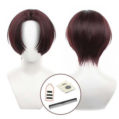 Hayato Suo Wind Breaker Anime Cosplay Wig - Rose Net Synthetic Fiber, Adjustable Size for Halloween-Astricos