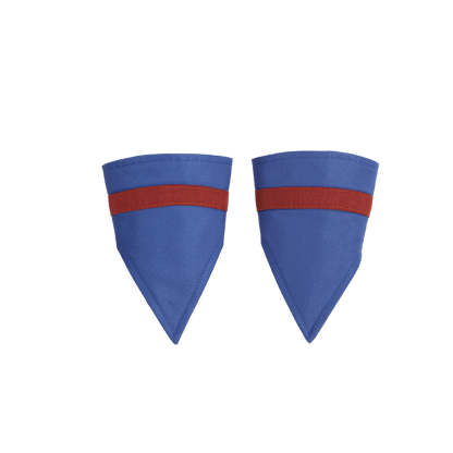 Lady Paya Cosplay Costume - Breath of the Wild Game Outfit for Fans-Astricos