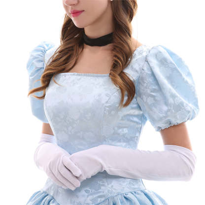 Disney Cinderella Princess, Prince, Stepmother & Maid Cosplay Costumes | Astricos-Astricos