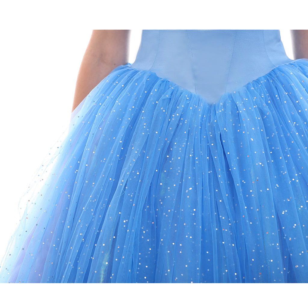Disney Cinderella Princess, Prince, Stepmother & Maid Cosplay Costumes | Astricos-Astricos