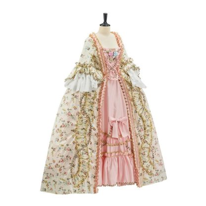 Elegant Rococo Dress Costume for Cosplay | Astricos Exclusive-Astricos