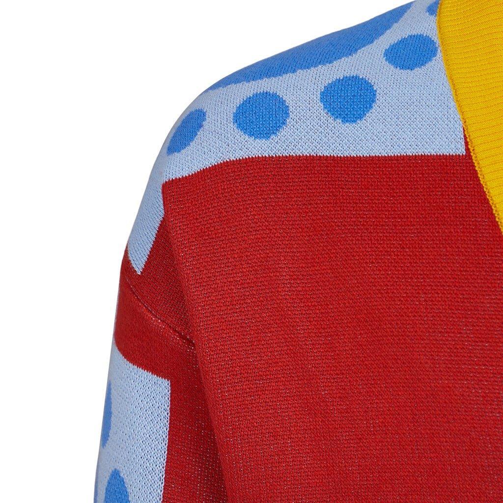 Wano Country Luffy Cosplay Sweater | One Piece Anime Cardigan for Adults | Halloween Costume-Astricos