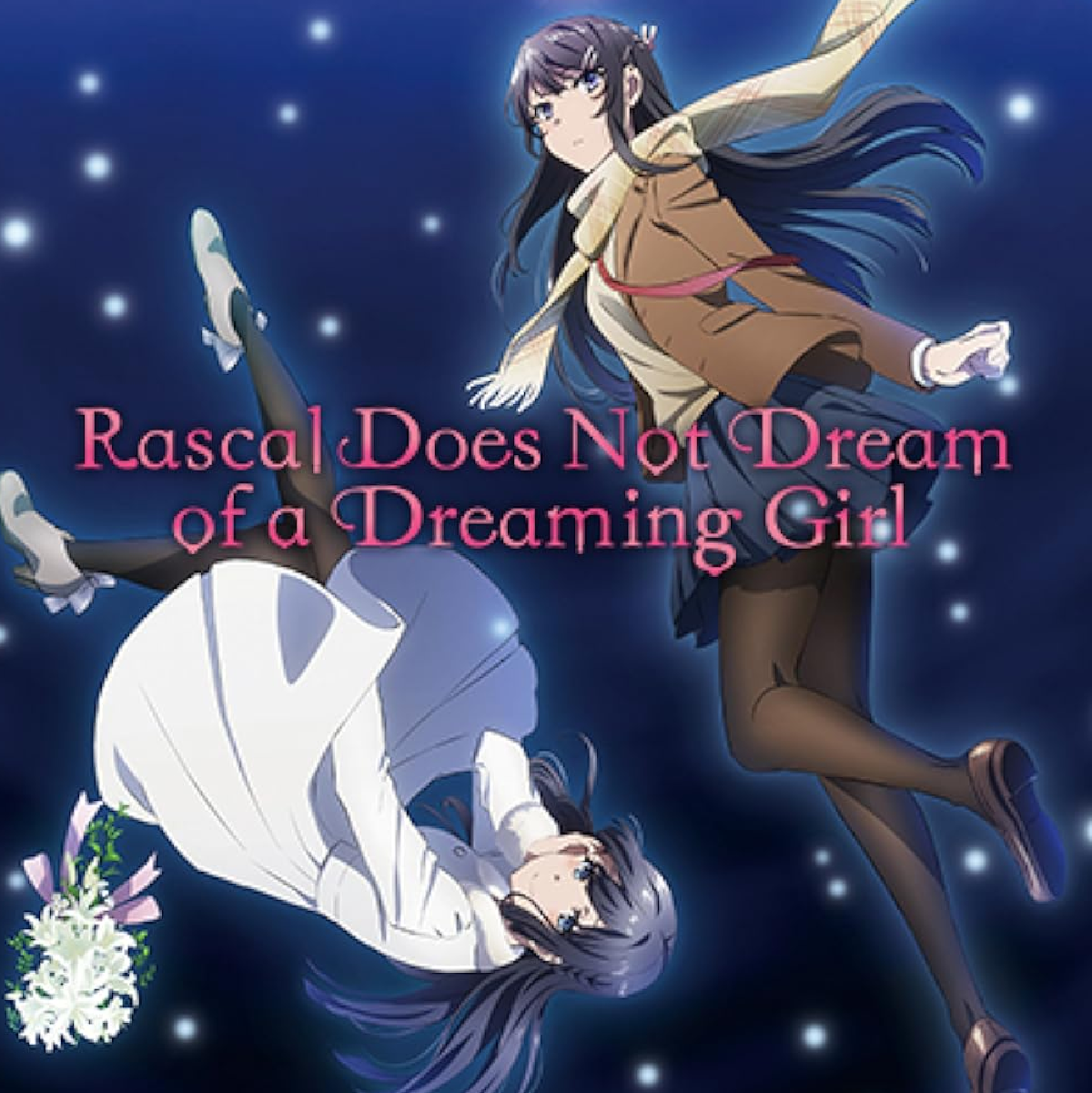 Anime: Rascal Does Not Dream-Astricos