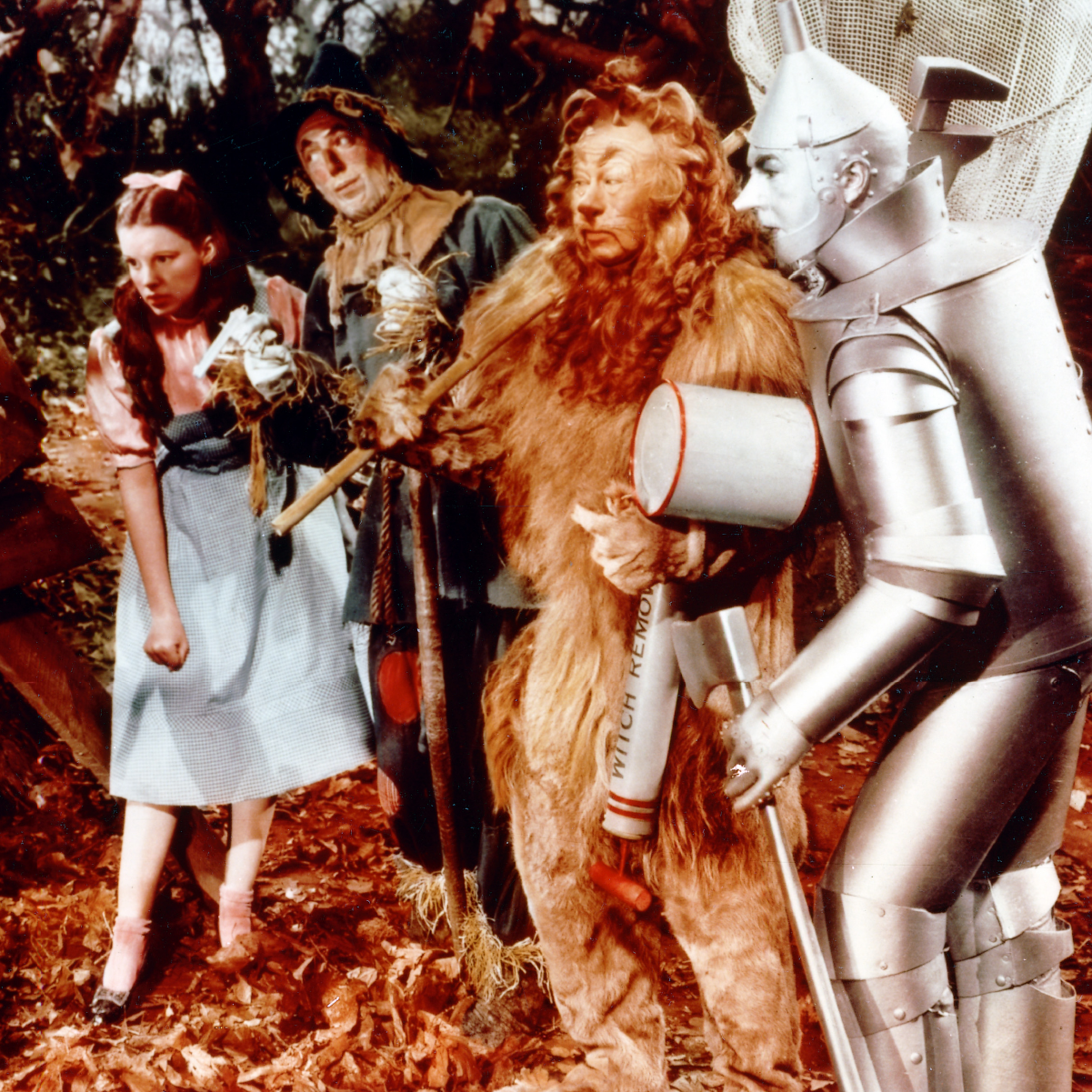 Movie and TV: The Wizard of Oz-Astricos