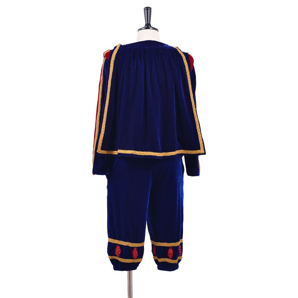Authentic Tudor Knight Cosplay Costume - Medieval Renaissance Blue Outfit for Men | Astricos-Astricos