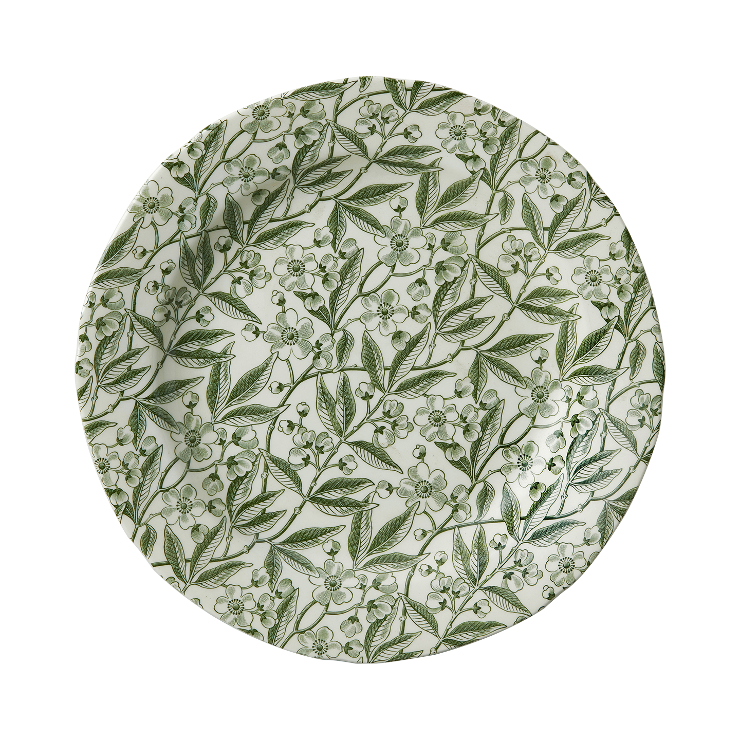 Green Prunus Plate Dinner Plate