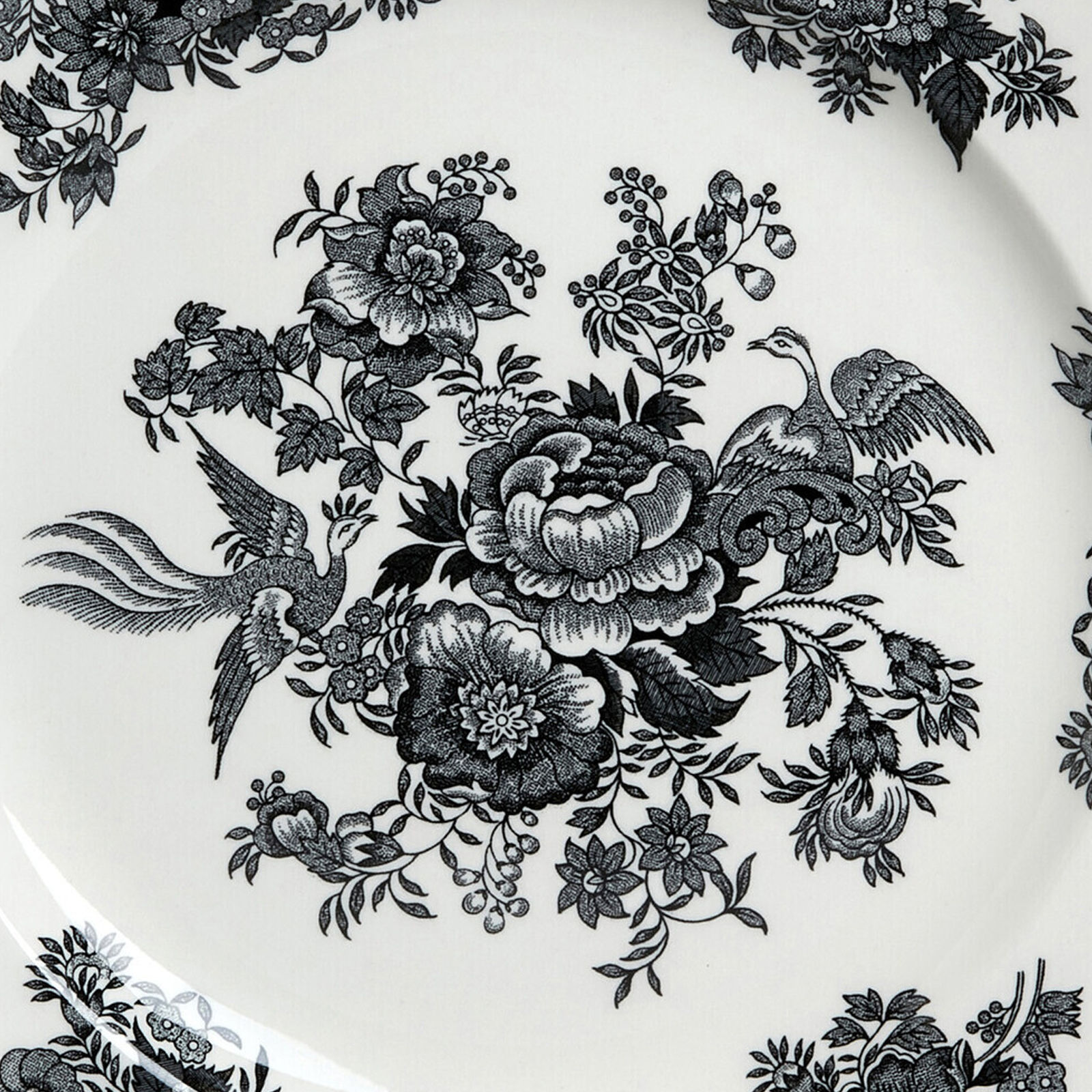 Black Asiatic Pheasants