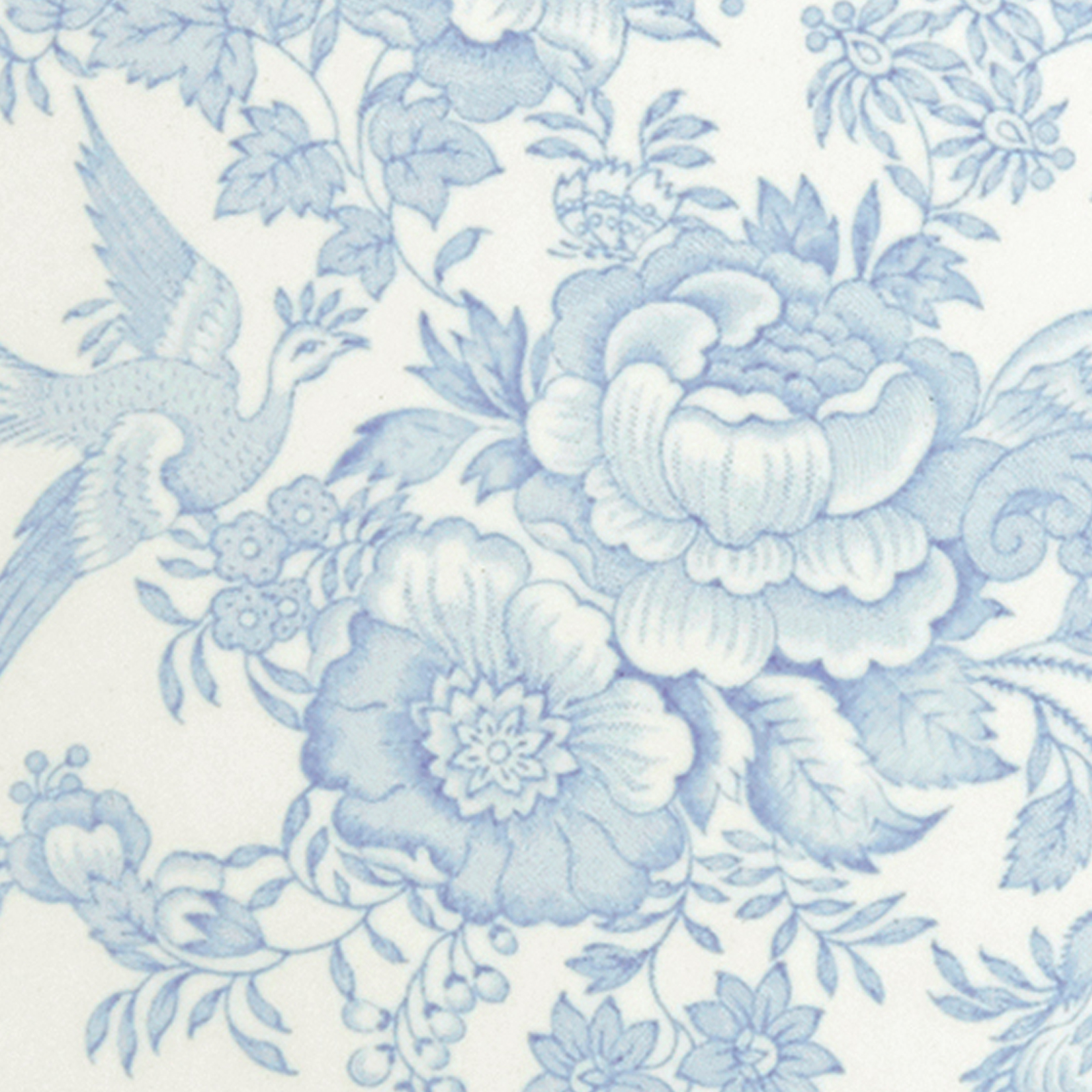 Blue Asiatic Pheasants