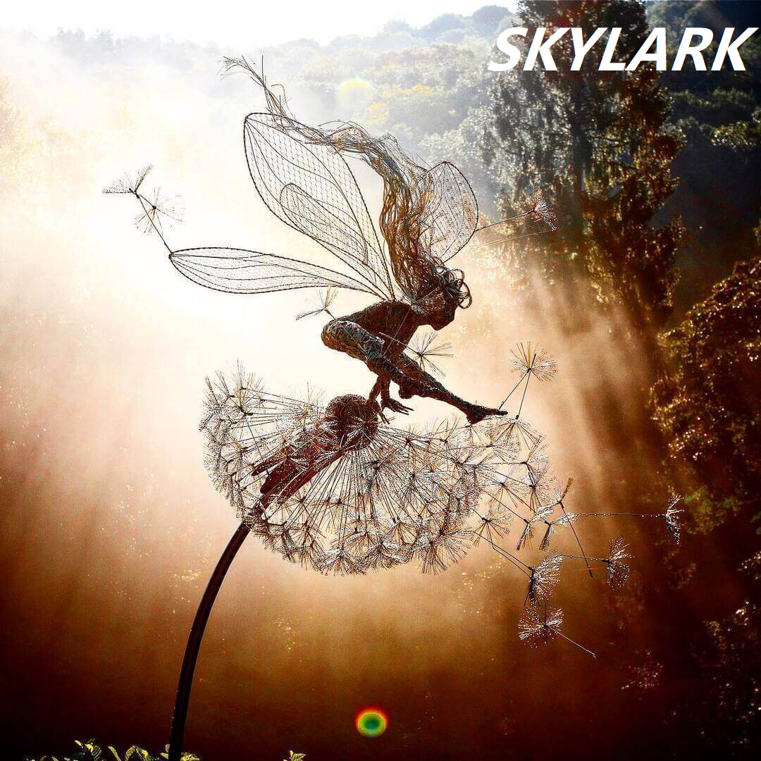 🧚Wonderland-like Garden Decoration💖