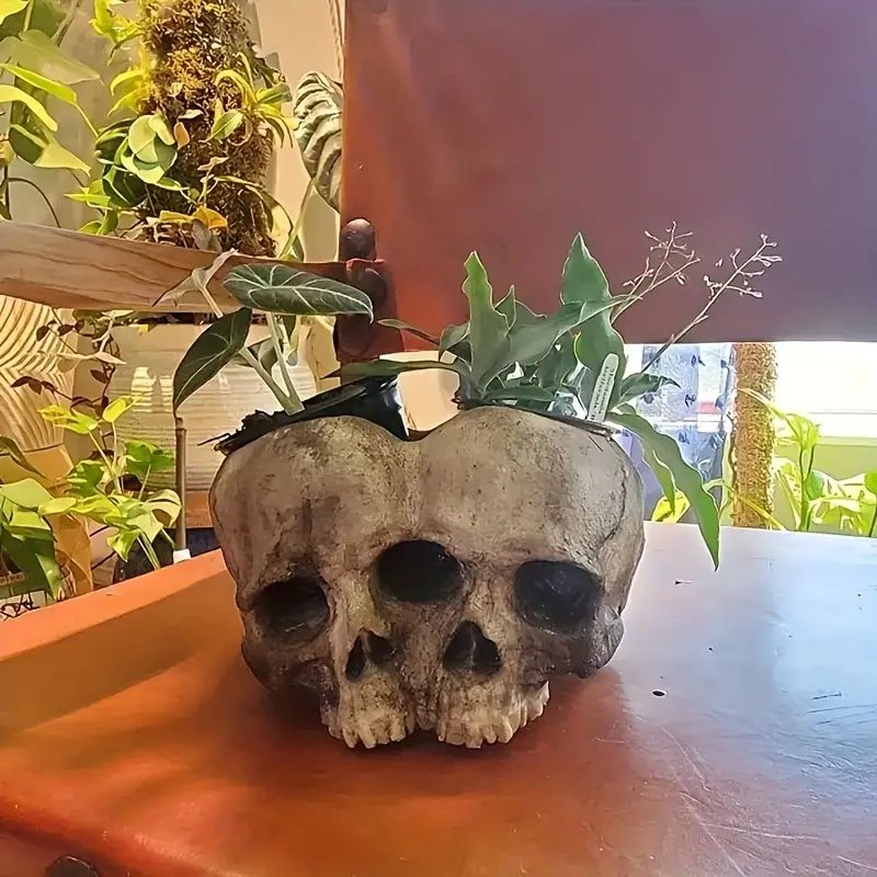 💀Resin Skull Planter, Halloween Decoration Gothic  Head Flower  Pot Carved，1 set🎃