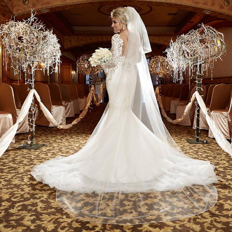 V-neck Sexy Lace Long Sleeve Wedding Dresses | Appliques Open Back Mermaid Bridal Gowns-newarrivaldress