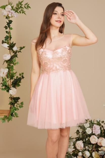 Cute Scoop Neck Tulle Short Homecoming Dress Cap Sleeves Gold Appliques Knee Length Prom Dress-newarrivaldress