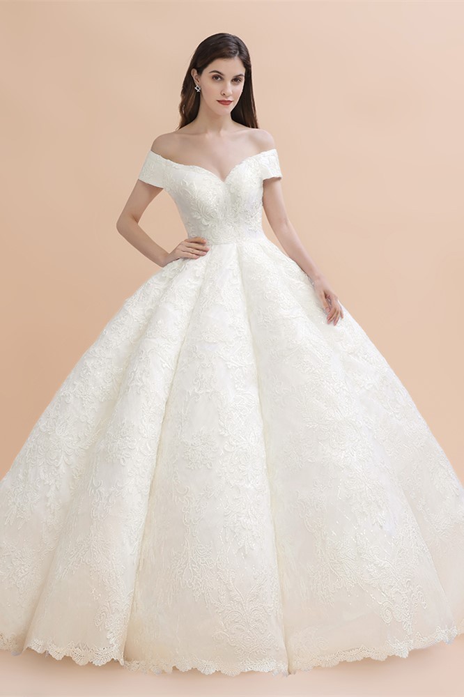 Ivory Off Shoulder Lace Appliques A-line Ball Gown Tulle Wedding Dress-newarrivaldress