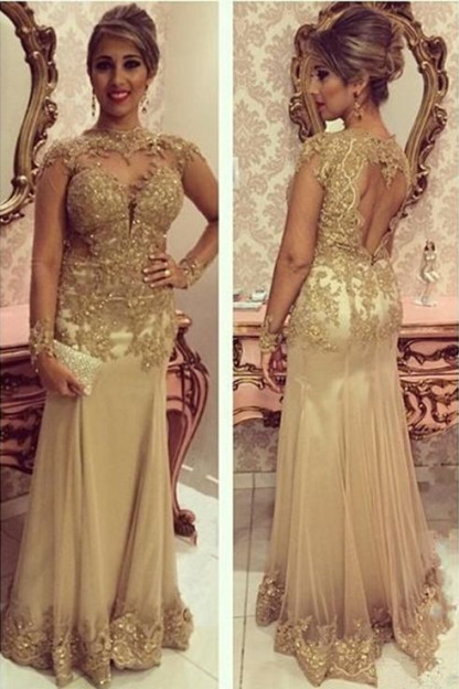 Delicate Lace Appliques Mermaid Long Sleeve Evening Gown-newarrivaldress