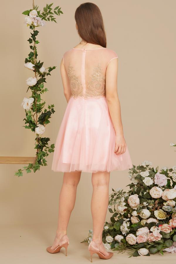 Cute Scoop Neck Tulle Short Homecoming Dress Cap Sleeves Gold Appliques Knee Length Prom Dress-newarrivaldress