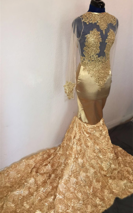 Champagne Mermaid Long Sleeve Flowers Appliques Long Prom Dresses-newarrivaldress