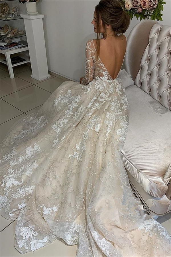 Elegant Lace Appliques V-Neck Wedding Dresses | See Through Long Sleeve Open Back Bridal Gowns-newarrivaldress