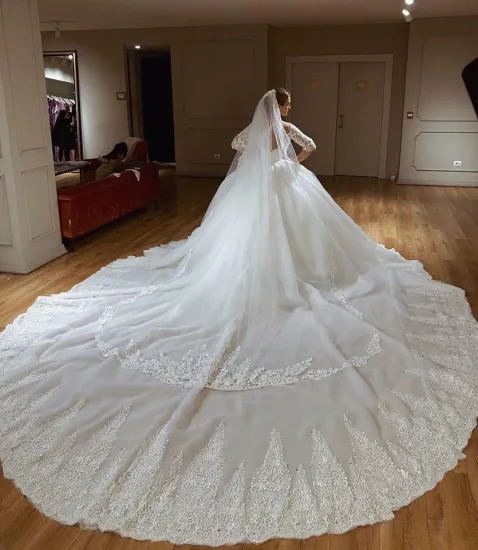 Glamorous Lace V-neck Ball Gown Wedding Dresses | Appliques Sleeves Bridal Gowns with Sweep Train-newarrivaldress