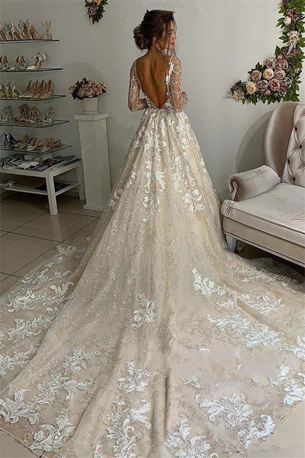 Elegant Lace Appliques V-Neck Wedding Dresses | See Through Long Sleeve Open Back Bridal Gowns-newarrivaldress