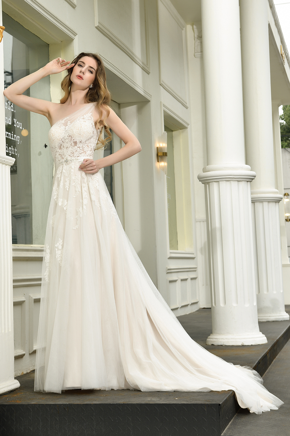 Elegant One Shoulder A-line Wedding Dress Lace Appliques-newarrivaldress