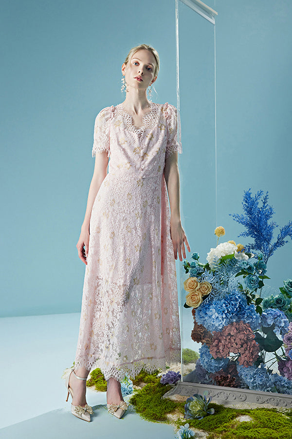 V-Neck A-Line Lace Long Dresses Short Dresses