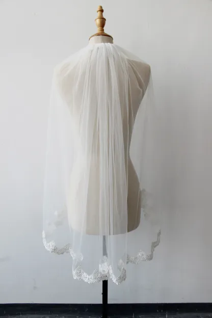 Elegant Tulle Wedding Veil Lace Applique Edge Bridal Veil with Comb