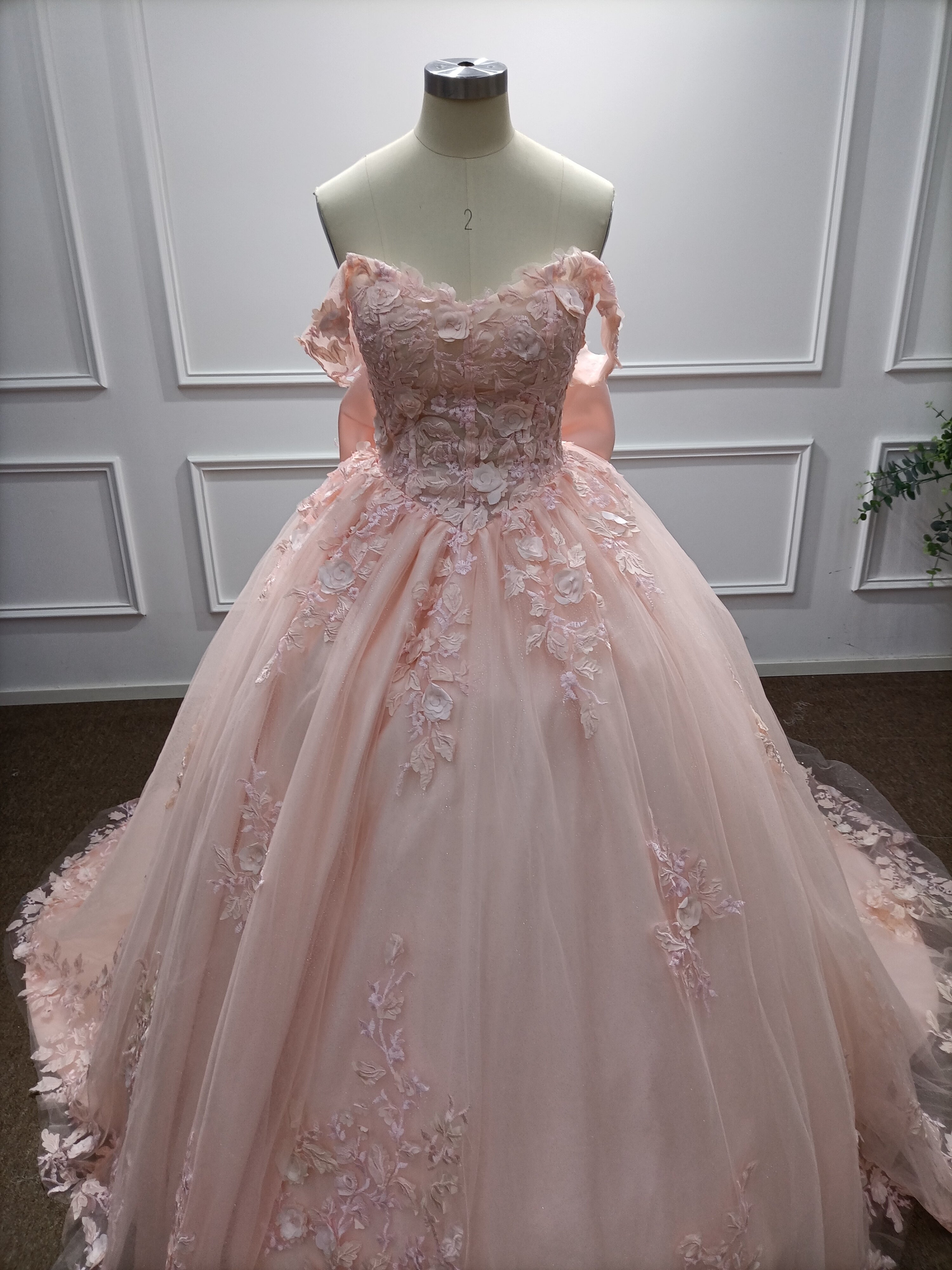 Off-the-Shoulder Tulle A-Line Evening Dresses with Applique