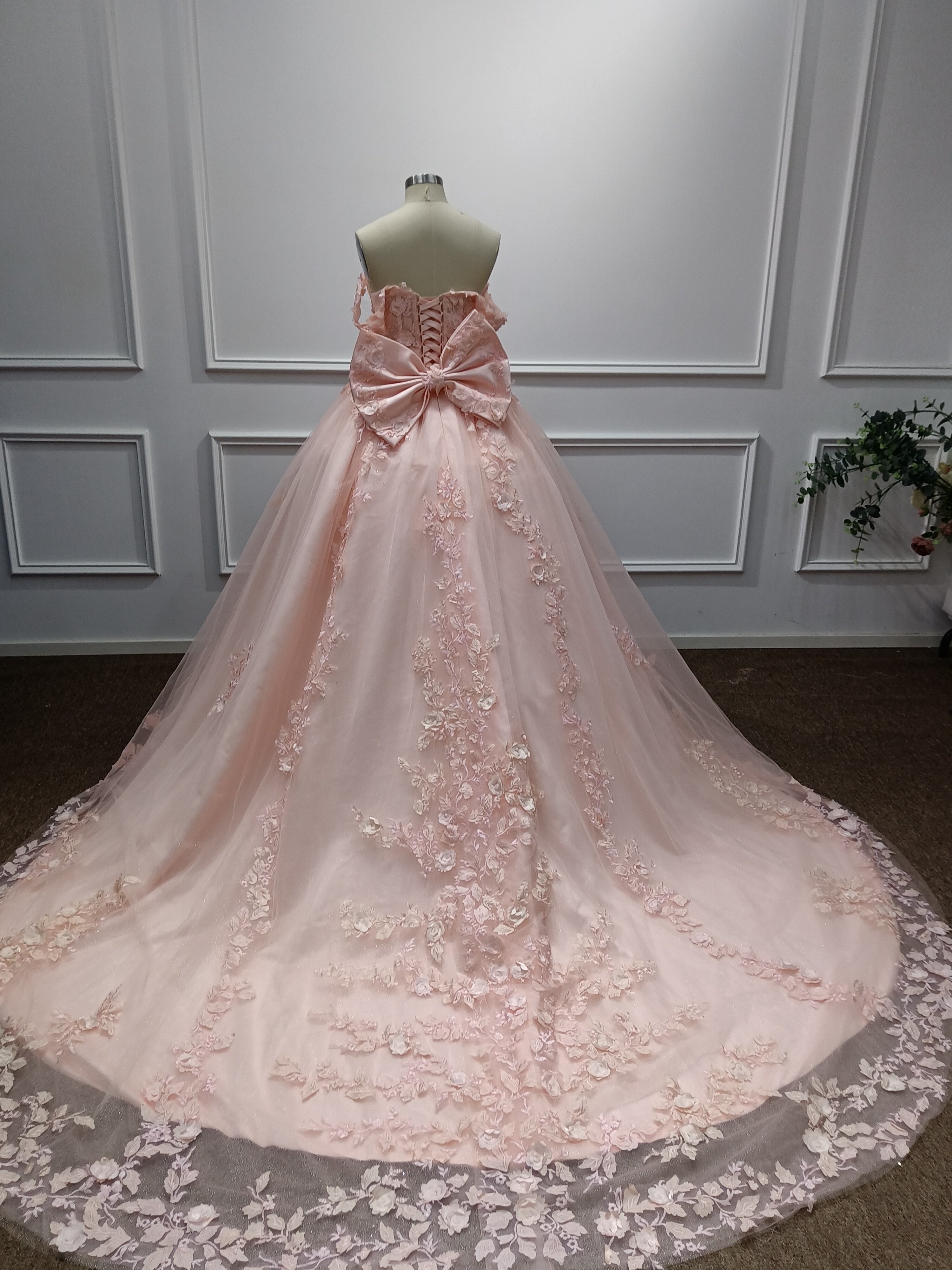Off-the-Shoulder Tulle A-Line Evening Dresses with Applique