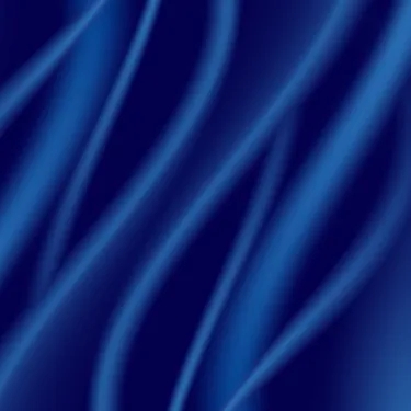 Royal Blue Dress