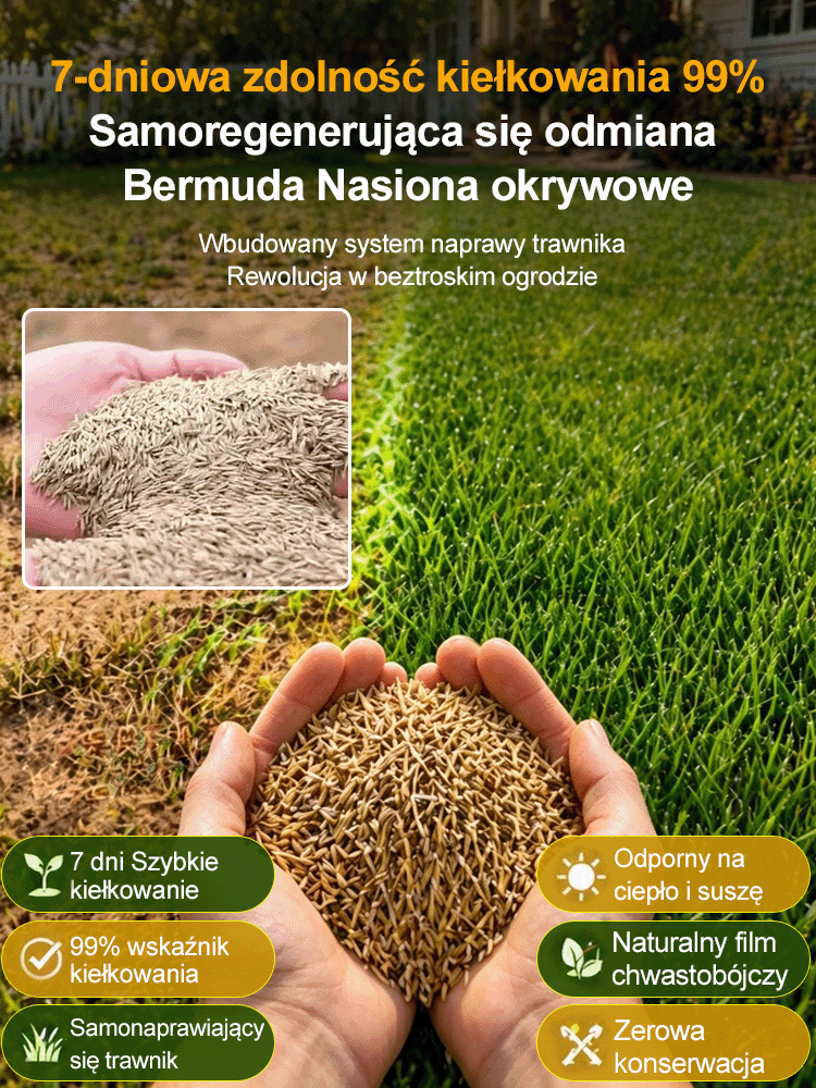 【99% Kiełkuje w 7 Dni】Niemiecka Trawa Bermuda Samoregenerująca | Przetrwa 40°C i Mrozy