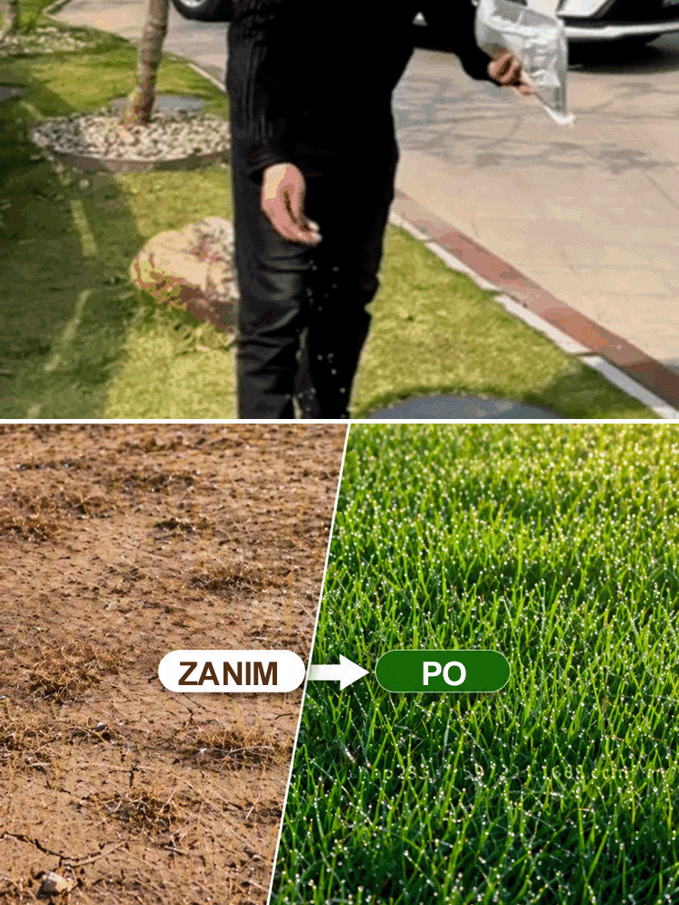 【99% Kiełkuje w 7 Dni】Niemiecka Trawa Bermuda Samoregenerująca | Przetrwa 40°C i Mrozy