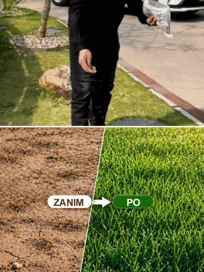 【99% Kiełkuje w 7 Dni】Niemiecka Trawa Bermuda Samoregenerująca | Przetrwa 40°C i Mrozy