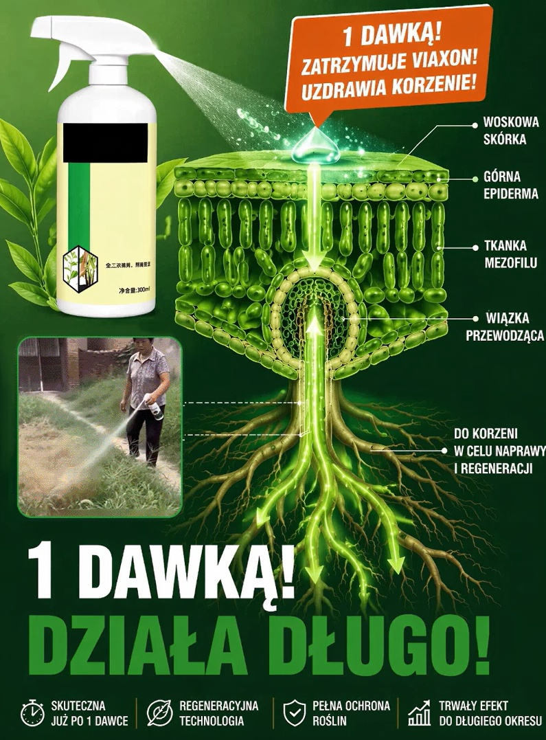 【Zastępuje Koparkę】 Niemiecki Herbicyd Drogowy na Korzenie - W 24h Niszczy Bambus, Zero Odrostów