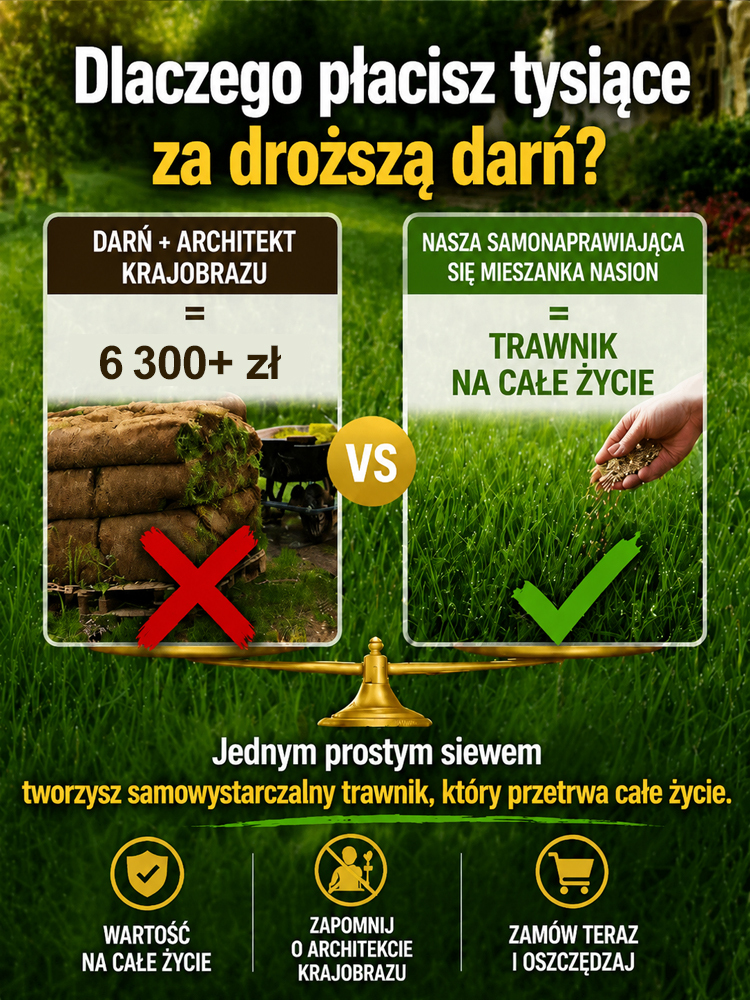 【99% Kiełkuje w 7 Dni】Niemiecka Trawa Bermuda Samoregenerująca | Przetrwa 40°C i Mrozy