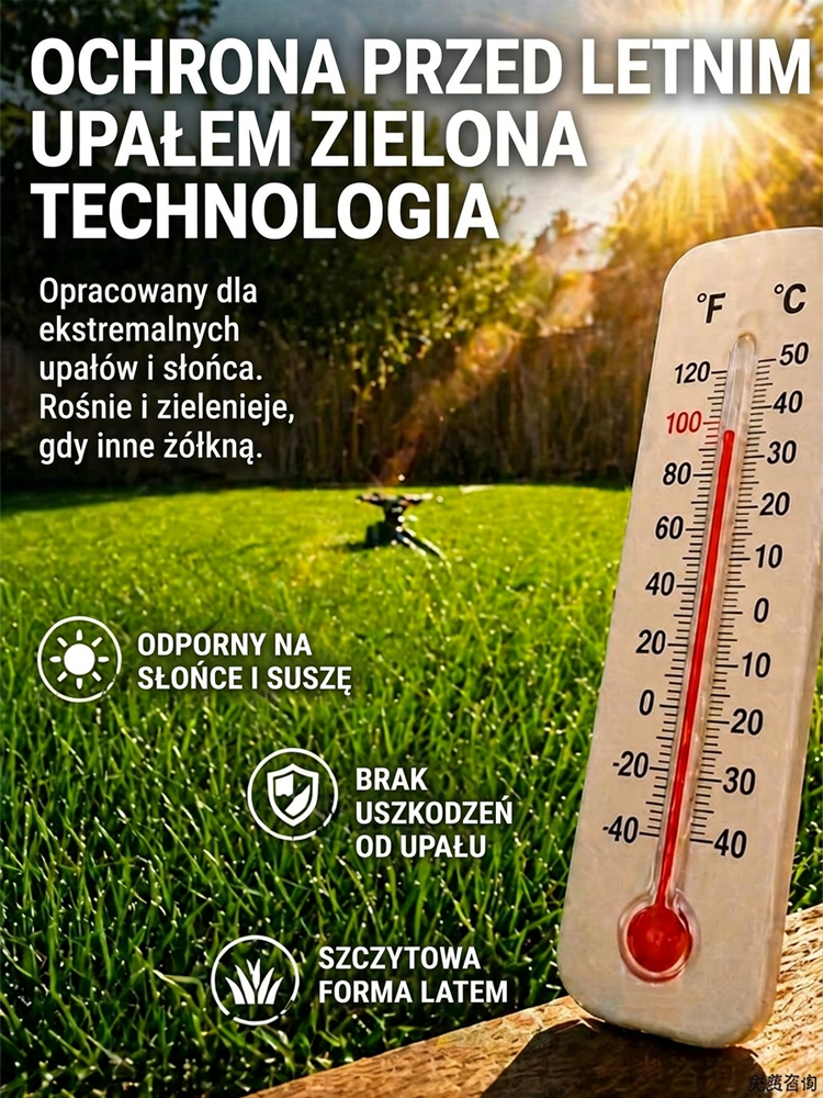 【99% Kiełkuje w 7 Dni】Niemiecka Trawa Bermuda Samoregenerująca | Przetrwa 40°C i Mrozy