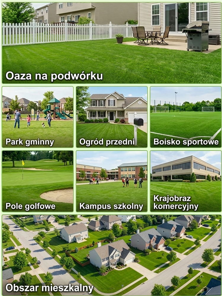 【99% Kiełkuje w 7 Dni】Niemiecka Trawa Bermuda Samoregenerująca | Przetrwa 40°C i Mrozy