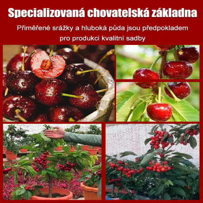 Špičková kvalita z dovozu, které můžete věřit.