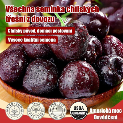 Špičková kvalita z dovozu, které můžete věřit.