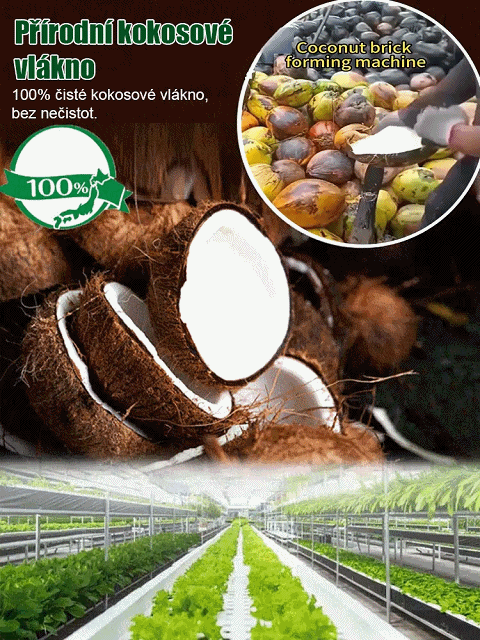 【Deset let bez hnojiv】Zahradnická kokosová slupka jako živná půda