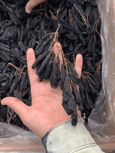 [Elixír mládí & Čistá příroda] Obří Modré Safírové Rozinky z Turpanu | 3-5 cm, Bez pecek, Výživa pro Vlasy a Energii