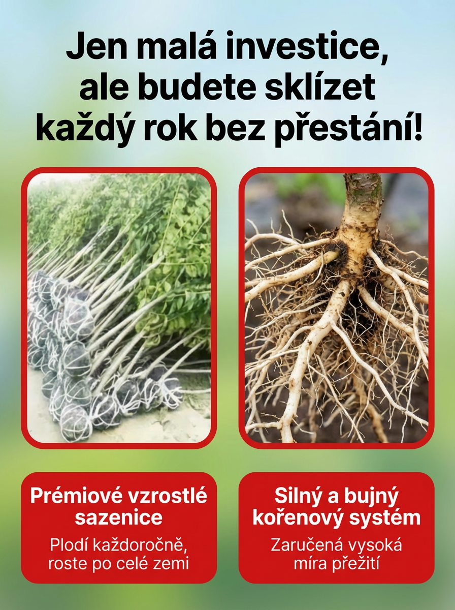Obrázek 6 - Investice.png