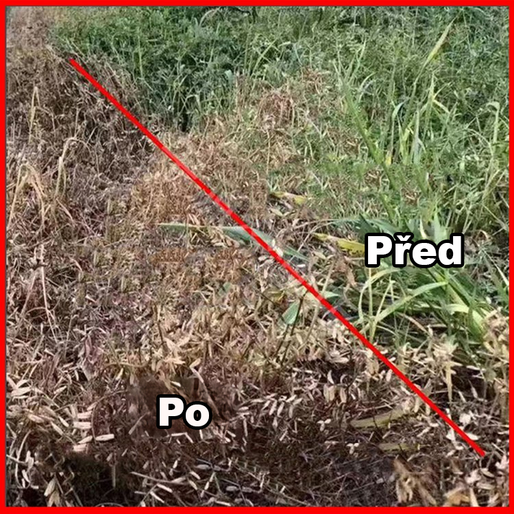 SL-Živný roztok v půdě